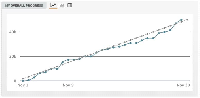 NaNoWriMo 2021